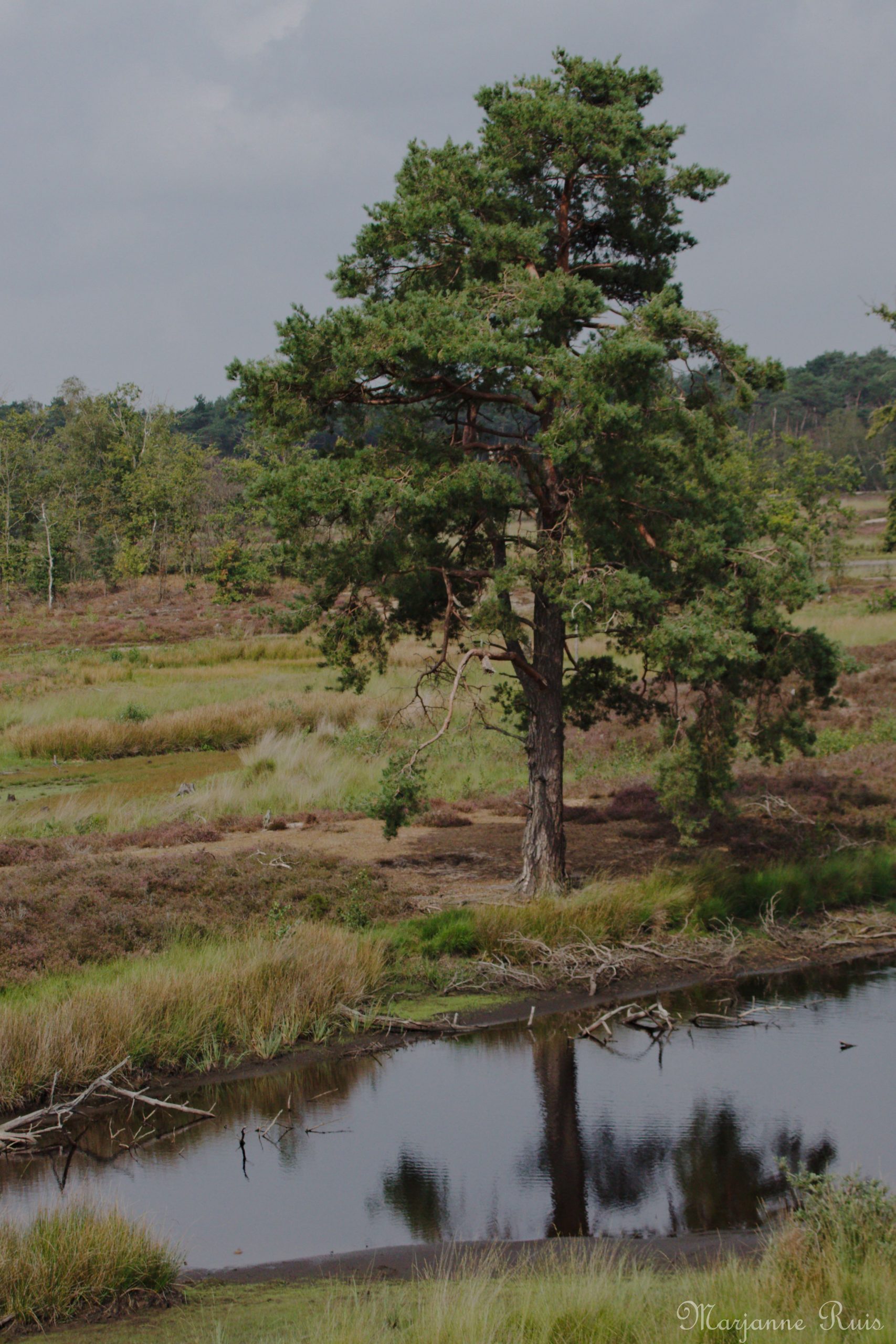 Hatertse en Overasseltse Vennen