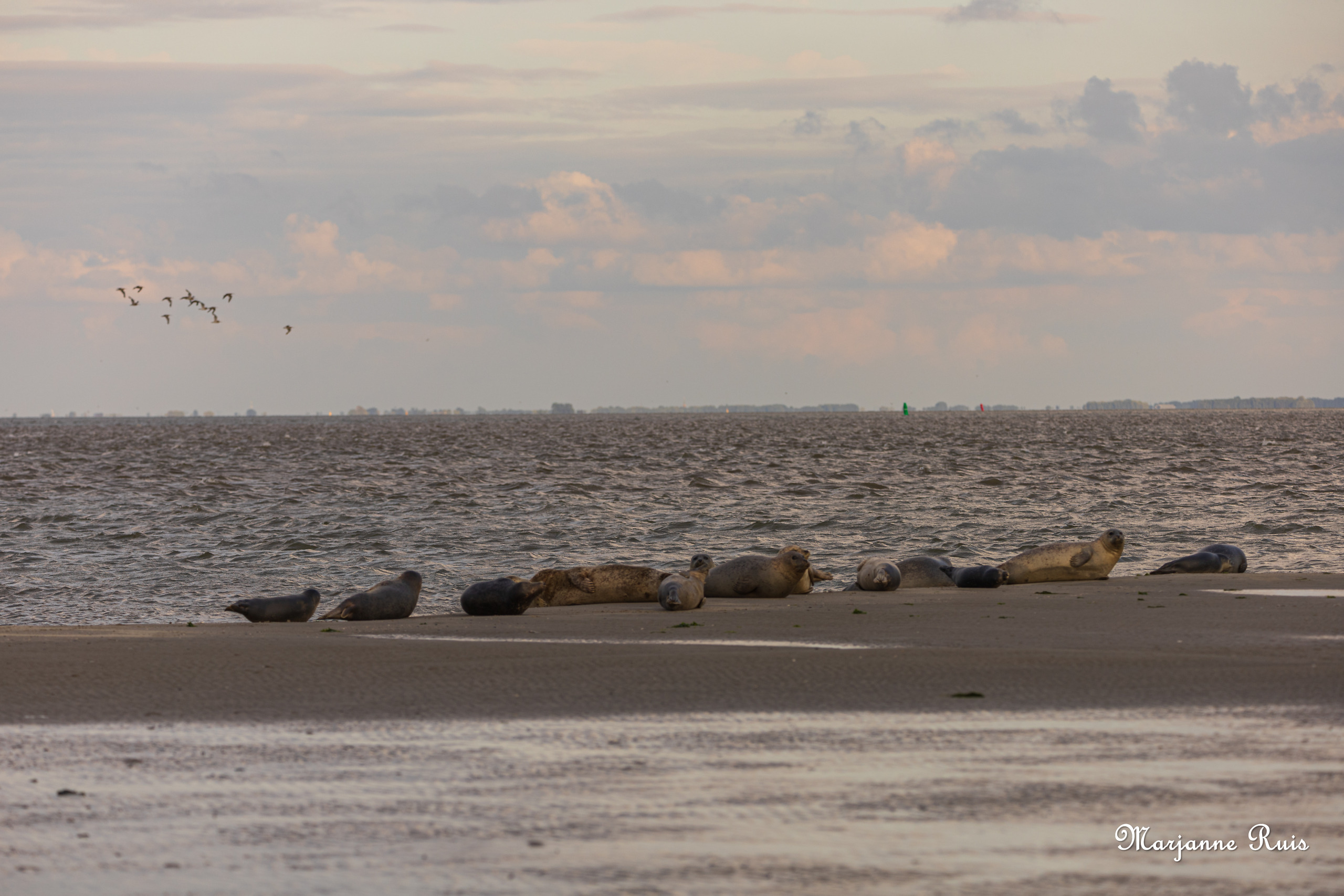 Schiermonnikoog